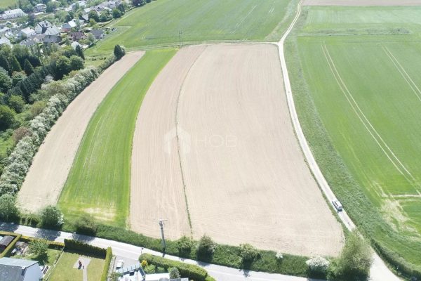 Grundstück zu verkaufen in Troisvierges