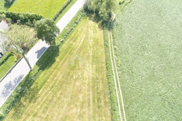Grundstück zu verkaufen in Asselborn