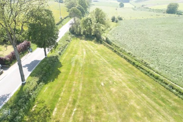 Grundstück zu verkaufen in Asselborn