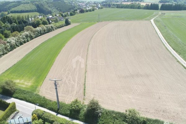 Grundstück zu verkaufen in Troisvierges