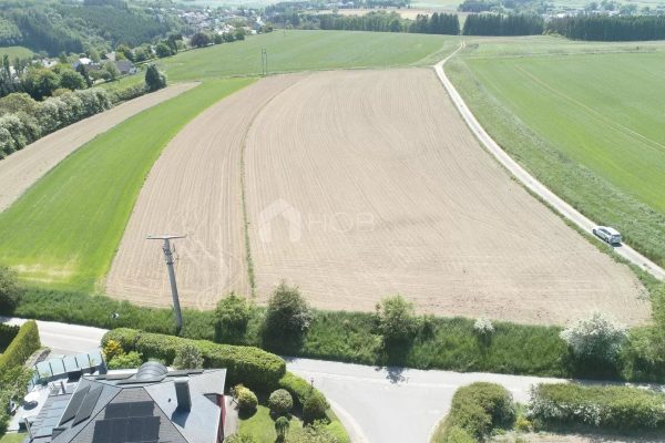 Grundstück zu verkaufen in Troisvierges